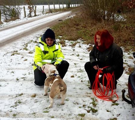 Silke mit ihrer Bulldogge Rubeus beim Mantrailing im Schnee