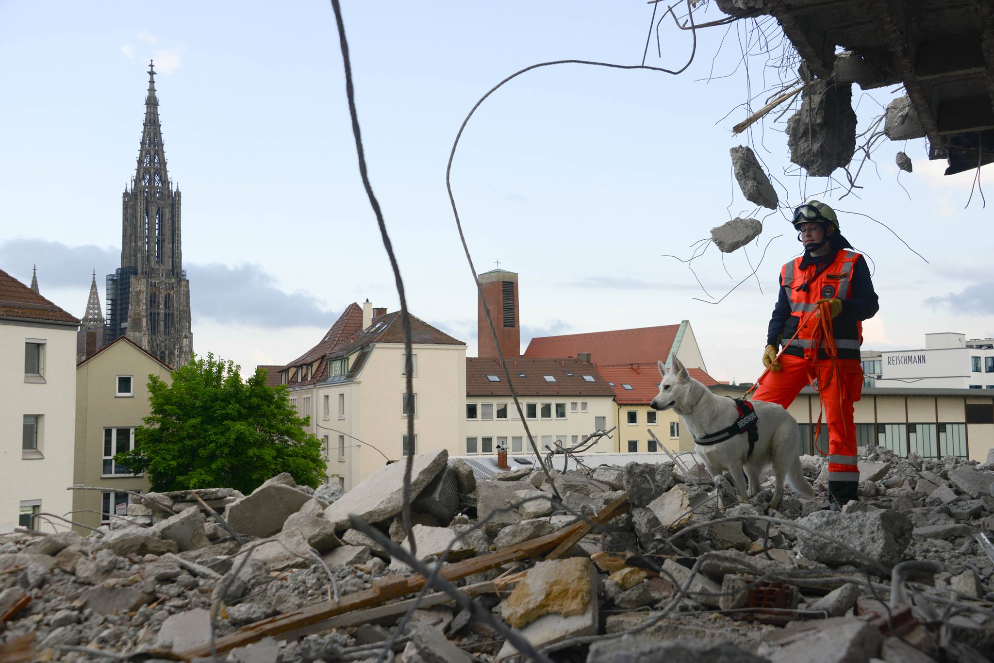Rettungshund sucht in Trümmern Rettungshundeführer mit Rettungshund sucht in Trümmern