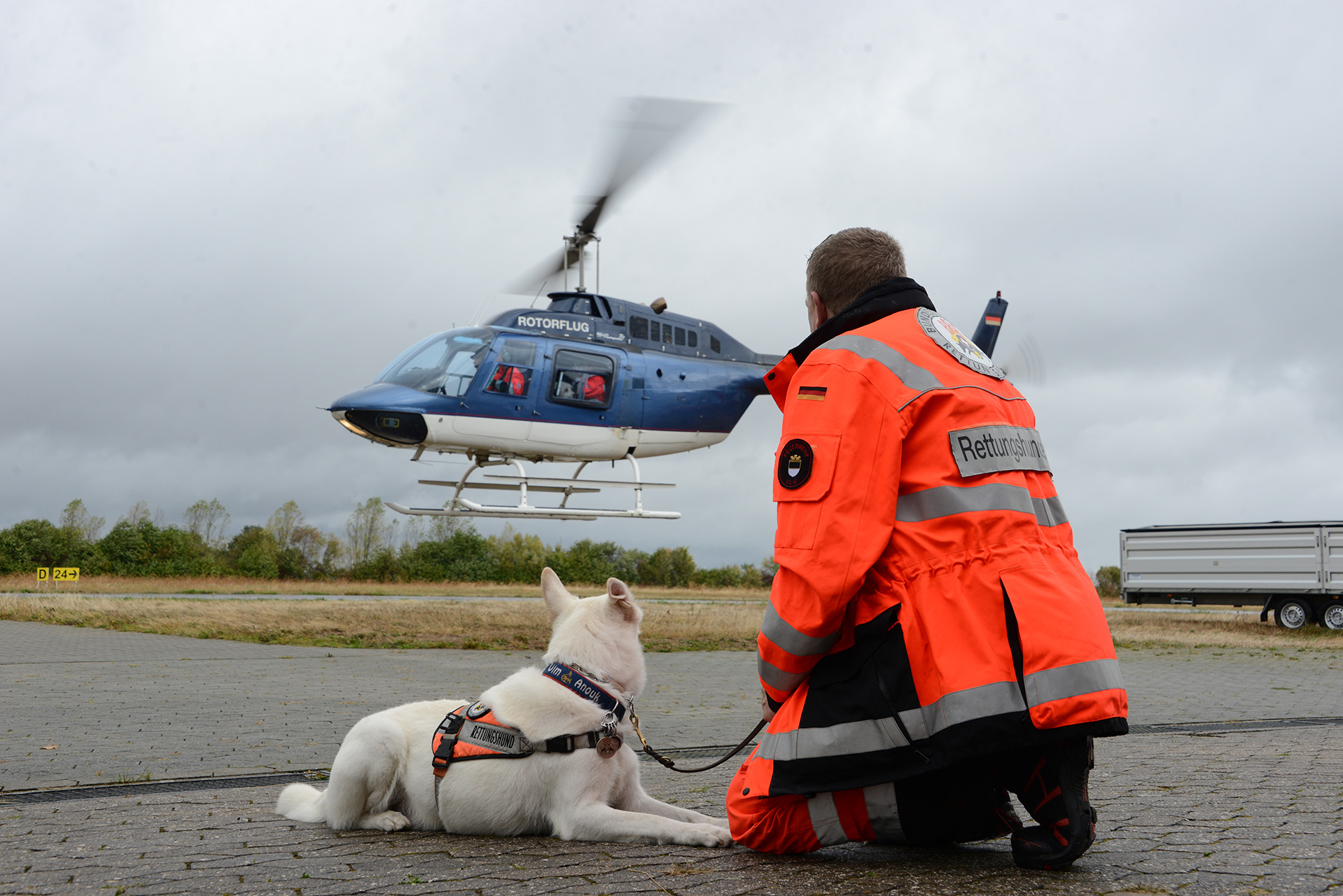 Rettungshund wartet auf Hubschrauber Rettungshund wartet auf Hubschrauber