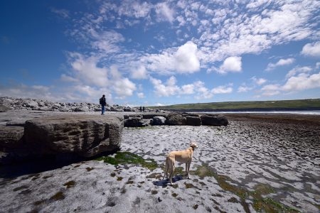Cliffs of Moher - unendliche Weiten in Irland