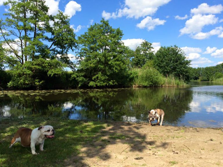 Mit meinen beide Lieblingen am Reihersee in Brietlingen in Niedersachsen