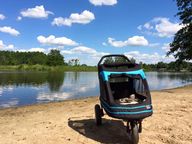 Mit dem Hundebuggy an den Reihesee in Brietlingen