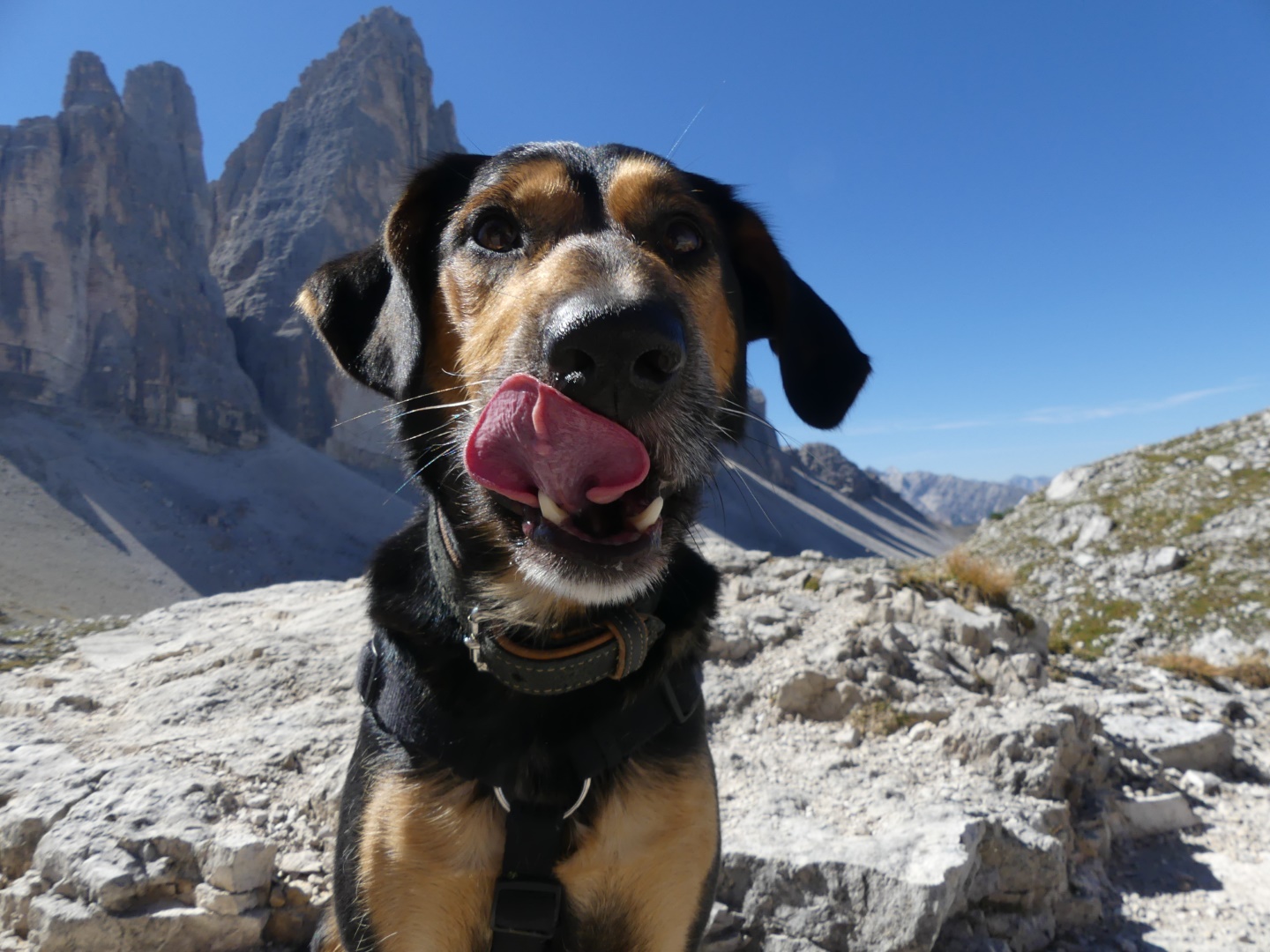 Drei Zinnen in Südtirol