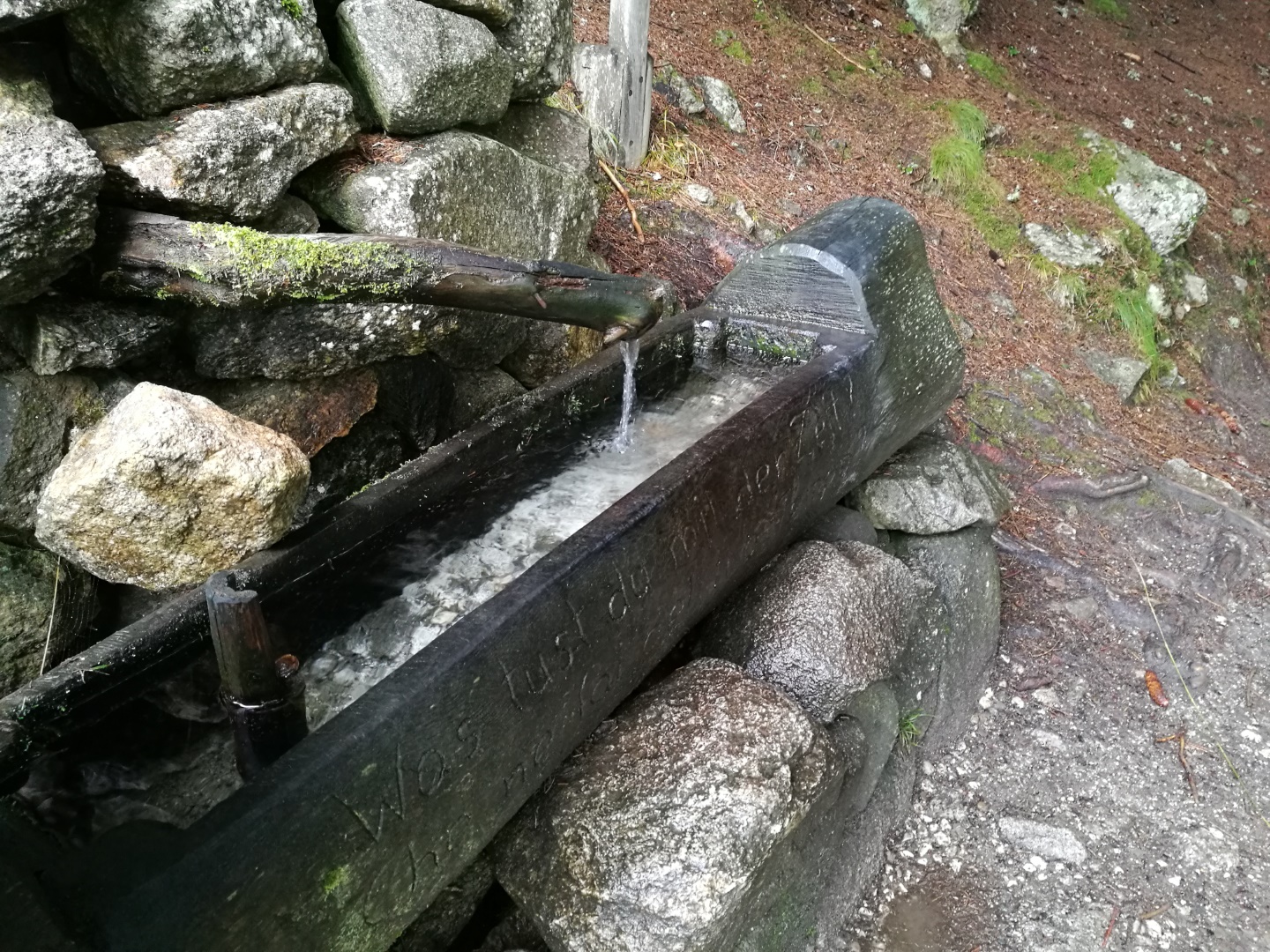 Wandern mit Hund macht alle durstig
