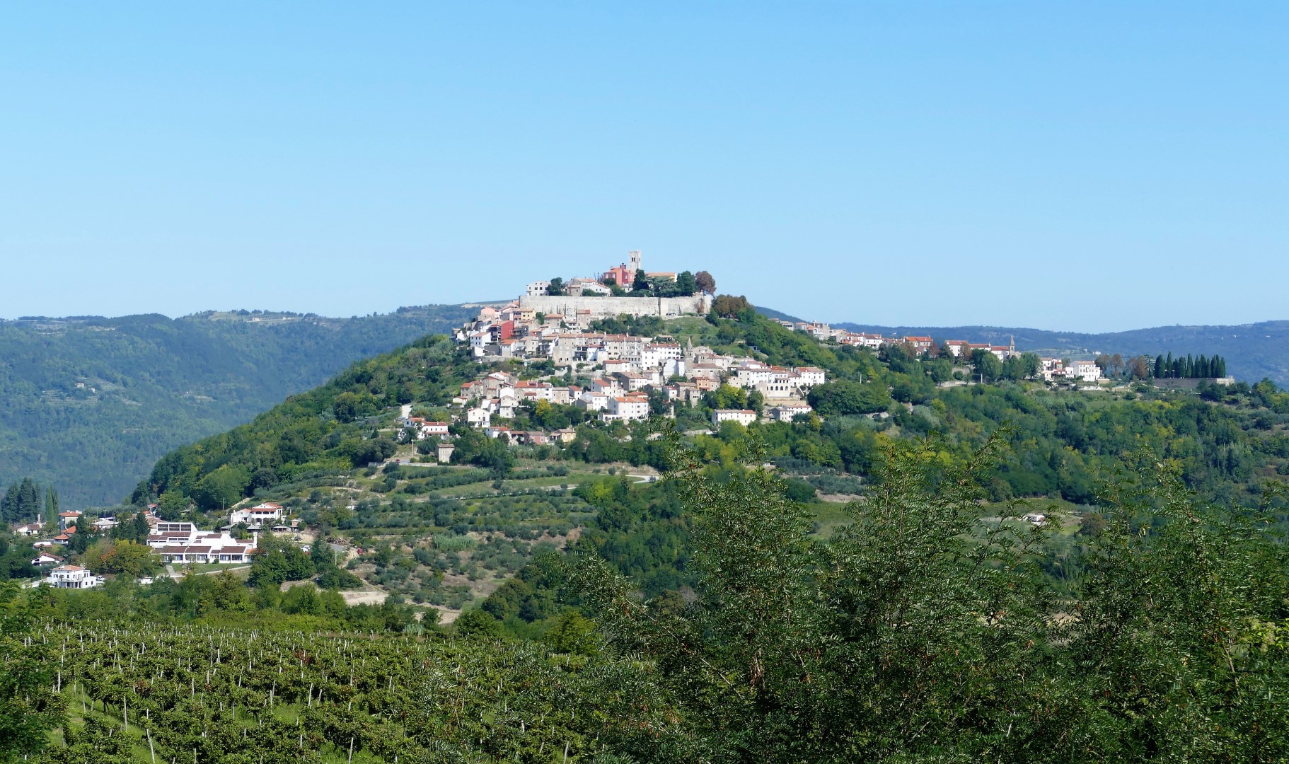 Blick auf Motovun Motovun