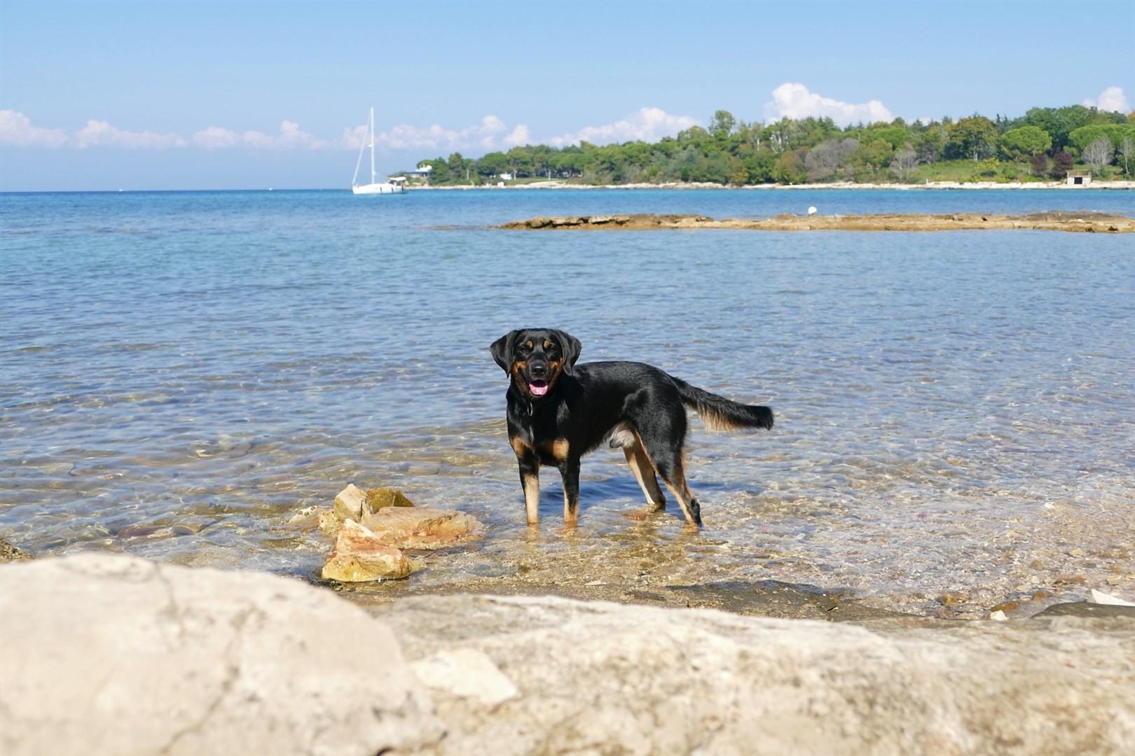 Leuchtturm und Strand von Savudrija Leuchtturm Strand von Savudrija - Strandurlaub mit Hund