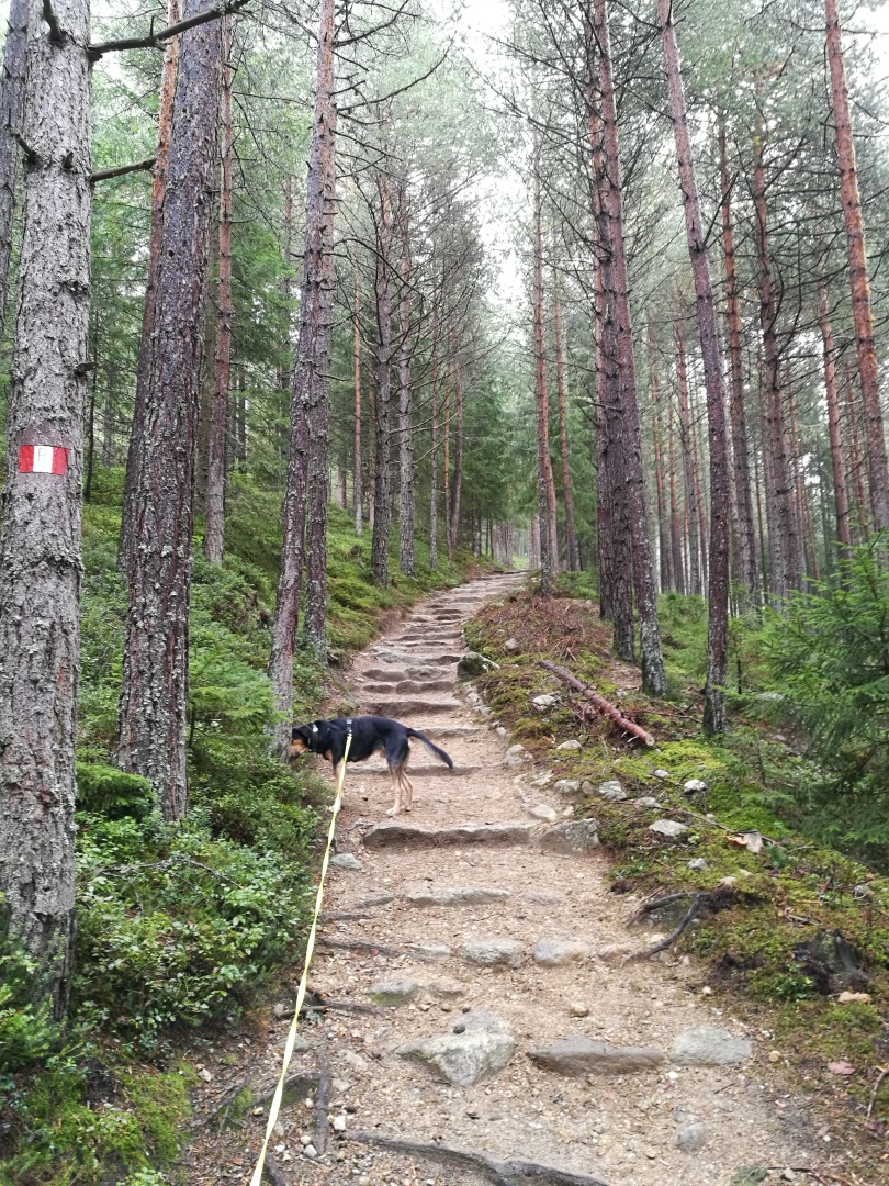 Der Weg zu den Rittner Erdpyrmiden