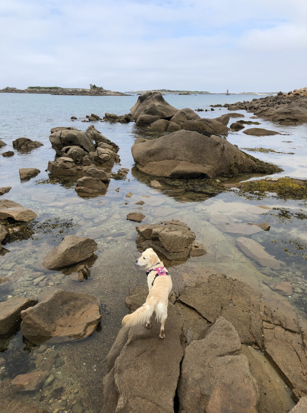 Zwischenstop am Plage de Tonne - Abkühlung für meine Lieblinge im Meer