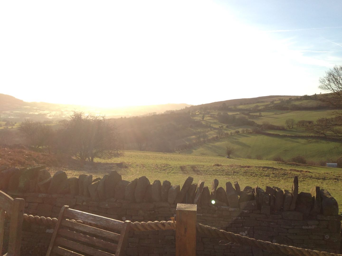 Ausblick im Urlaub mit Hund in Großbritannien Wales auf einer Schafsfarm