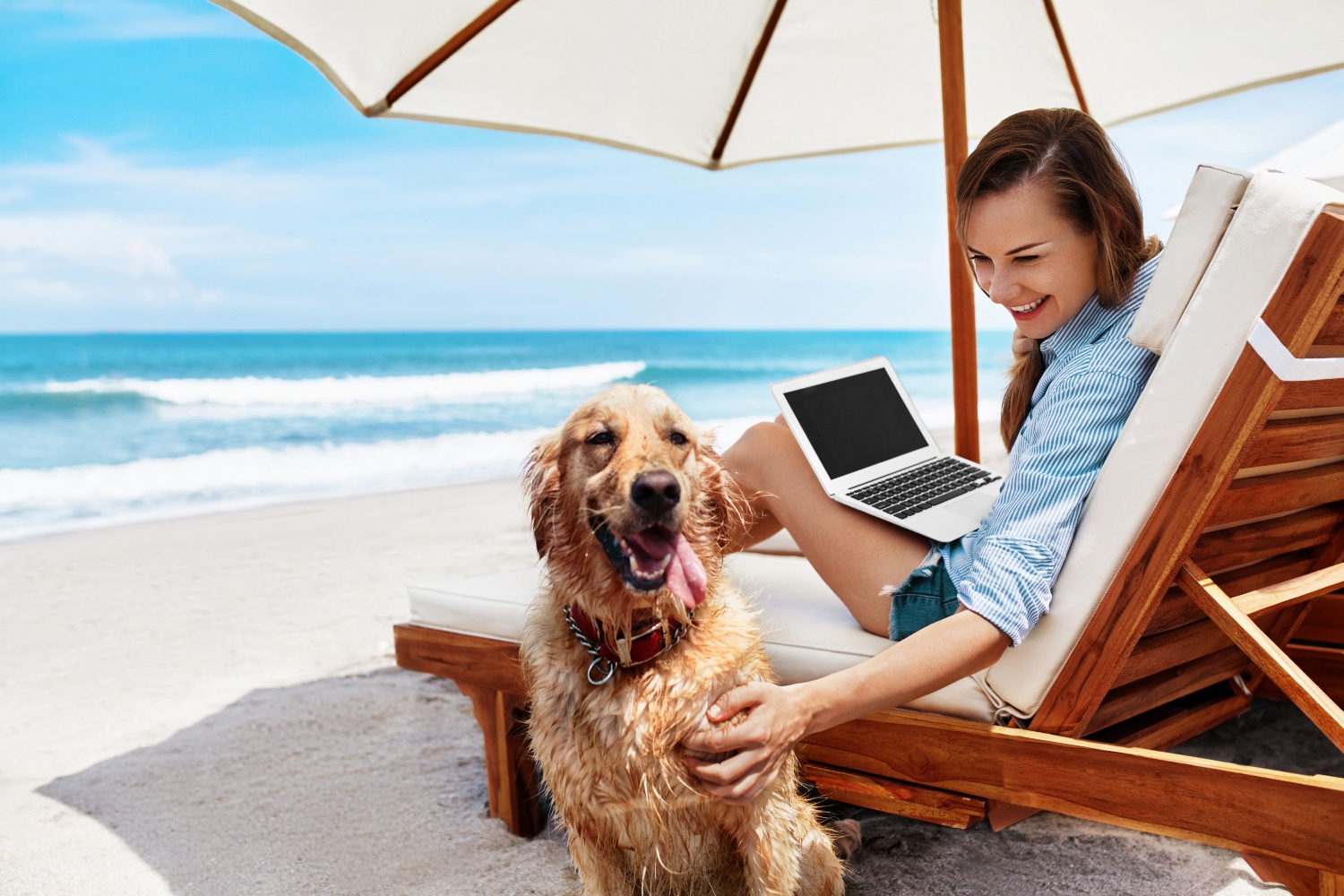 Du liebst Reisen, Deinen Hund und schreibst gerne? Willkommen bei vawidoo!