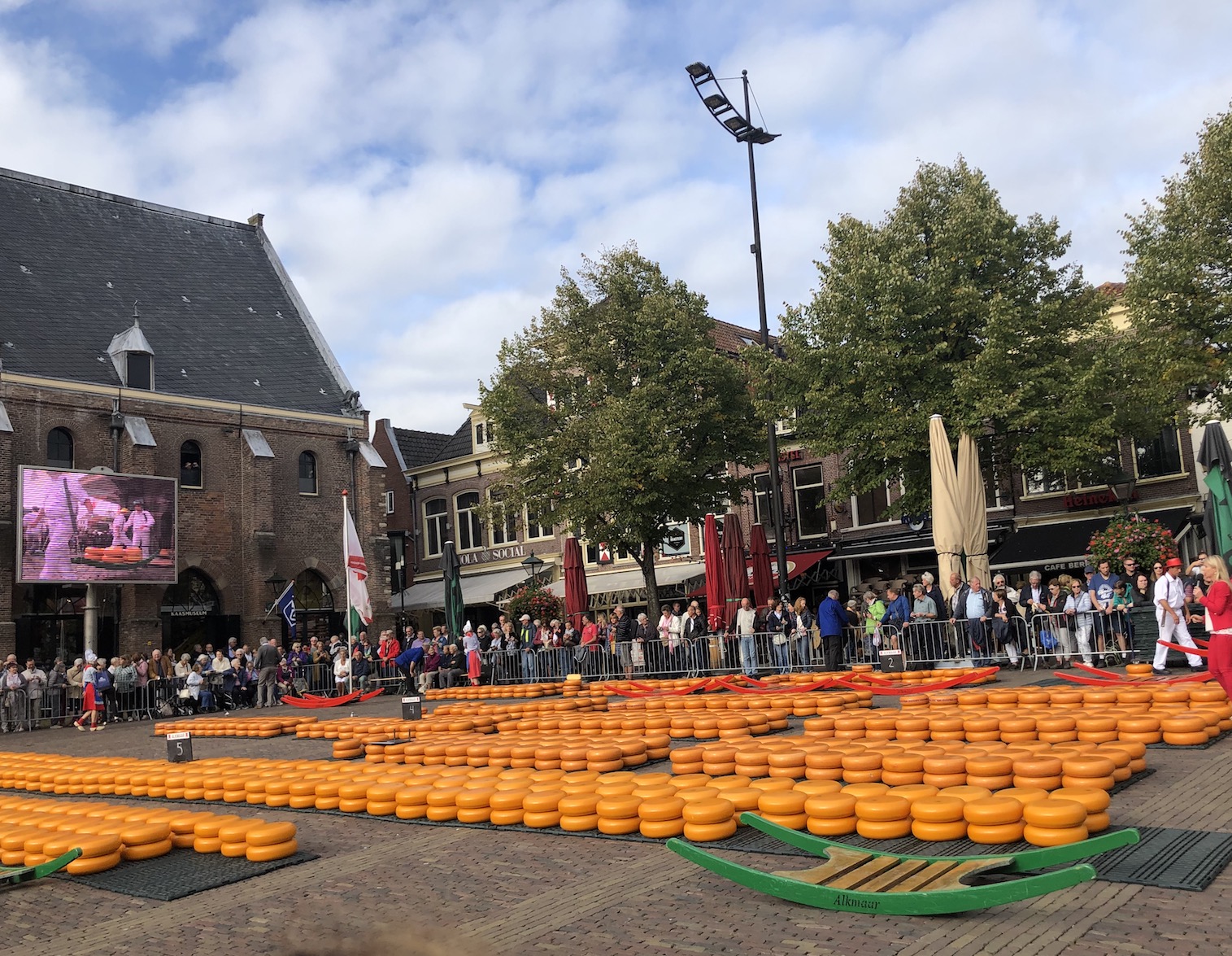 Käsemarkt in Alkmaar