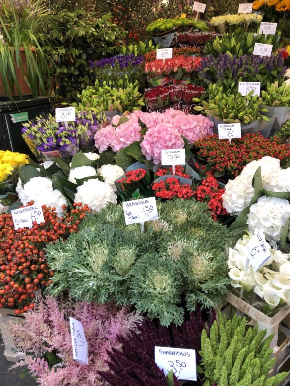 Holländische Blumen