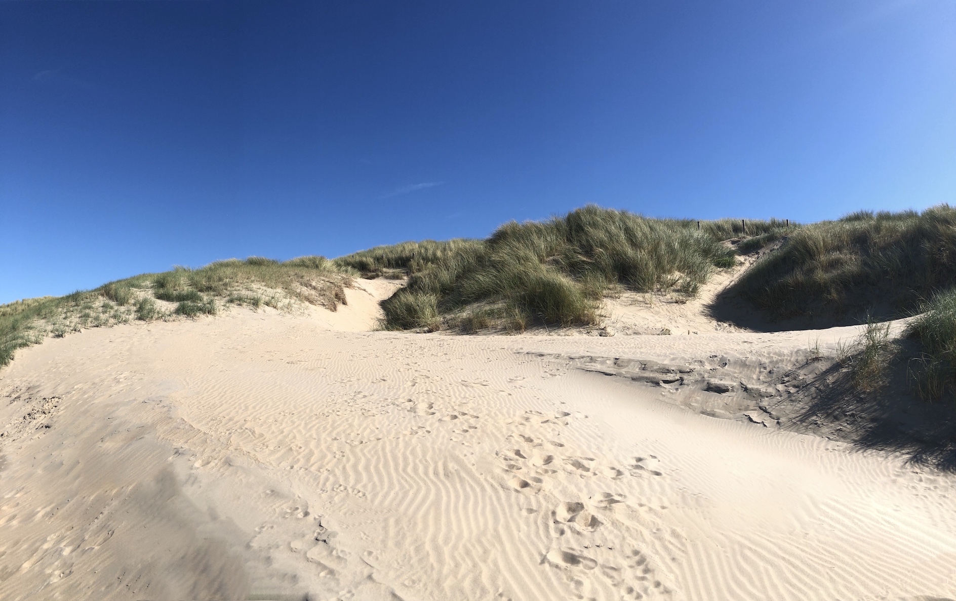 Strand in Holland