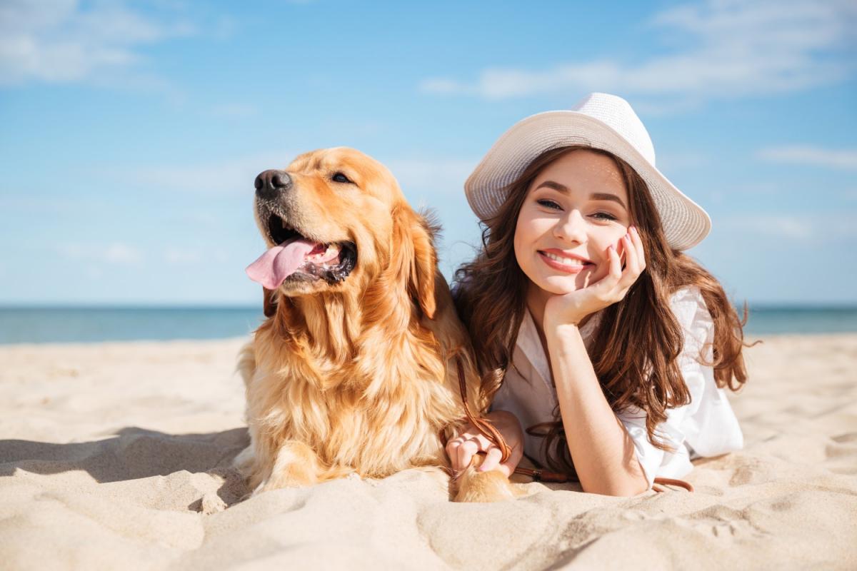 Urlaub mit Hund am Meer Thumbnail