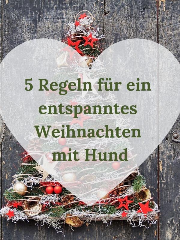 ein hund ist kein weihnachtsgeschenk vawidoo