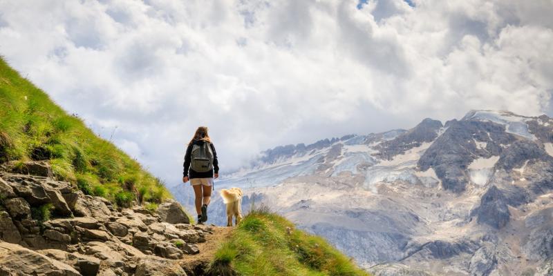 Die Auswahl der geeigneten Wanderroute ist gerade für Deinen Hund sehr wichtig