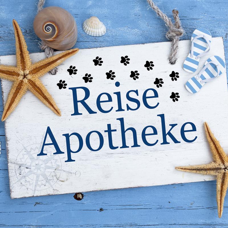 Urlaub mit Hund - Checkliste Reiseapotheke