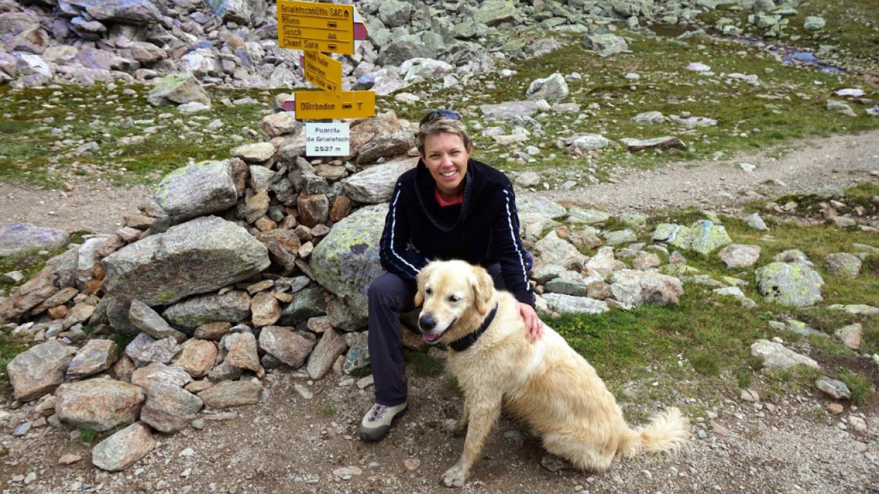 Hundephysiotherapie in der Schweiz