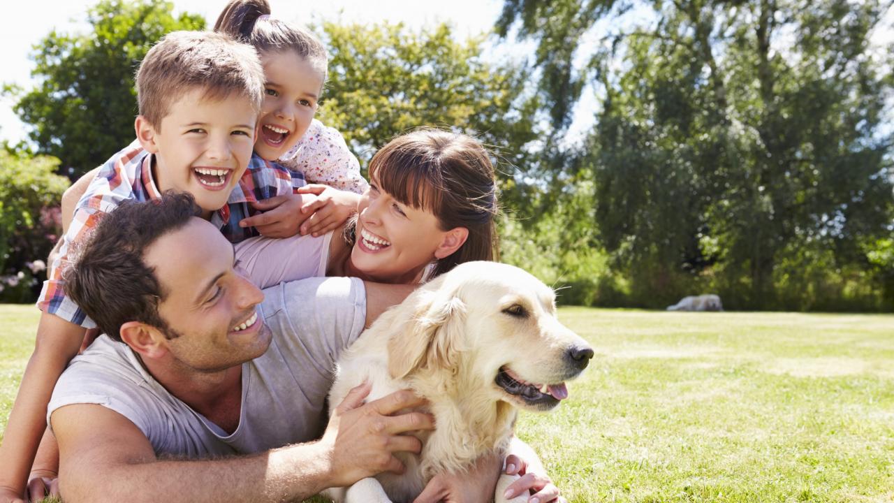 7 Gründe, warum wir unsere Hunde lieben