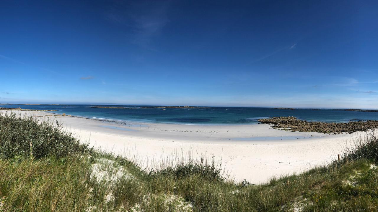 Plage St Pabu Urlaub mit Hund in der Bretagne